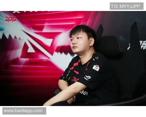 JDG战队的荣耀与挑战：DOTA2赛场上的奋斗历程全记录