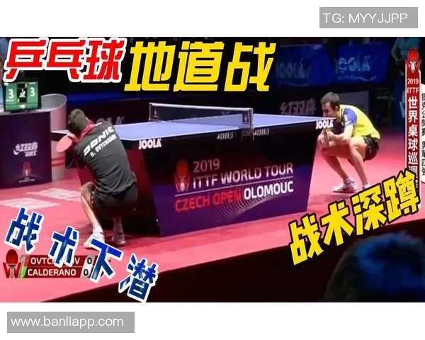 从零起步掌握乒乓球技巧与战术的全面指南与训练计划