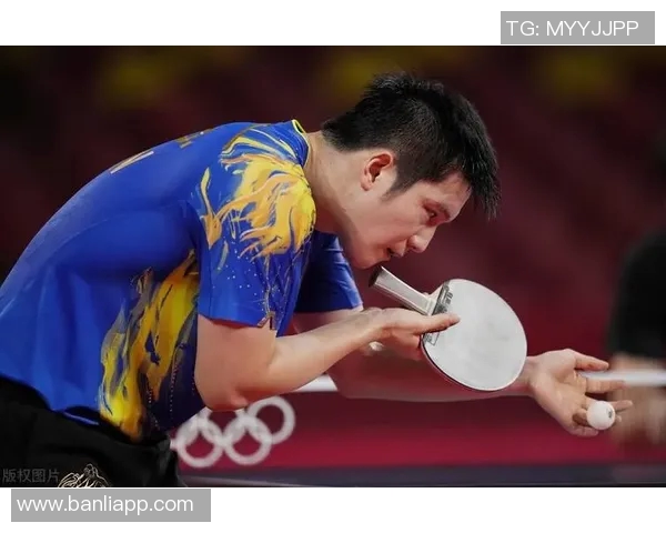 对话乒乓球名将赵强：回顾辉煌生涯与未来展望