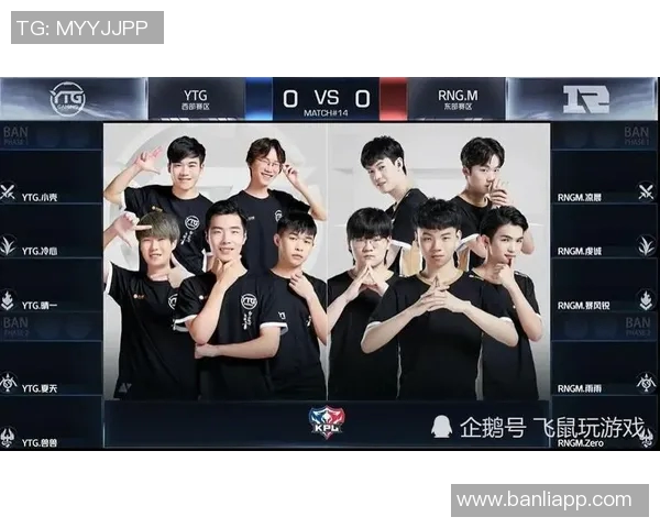 王者荣耀战术解析：深入剖析RNG战队的运营体系与成功秘诀