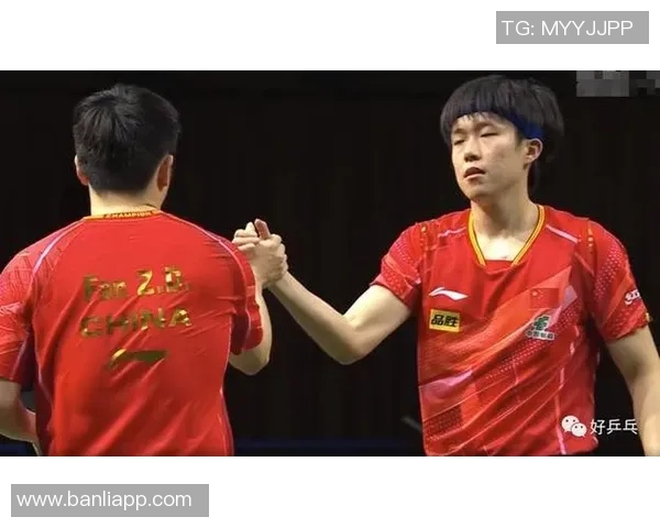 深圳乒乓球队节奏争议引发热议球迷观点各异引人深思