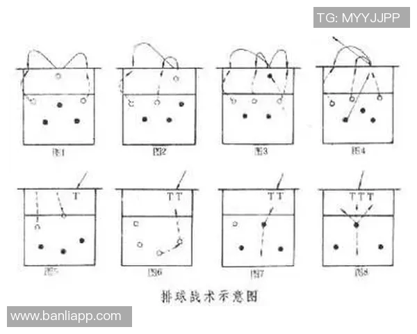 西安排球队在总决赛中的战术运用与比赛经验深度解析 西安排球队在总决赛中的战术运用与比赛经验深度解析