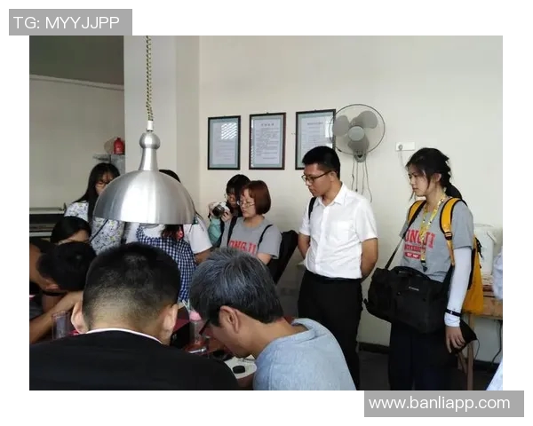 上海攀岩队队员个人能力深度对比与分析探讨