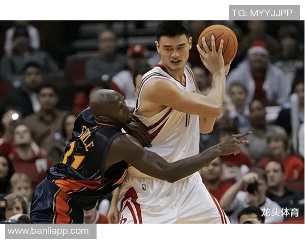 2006年火箭对阵奇才姚明精彩表现回顾与赛场瞬间分析