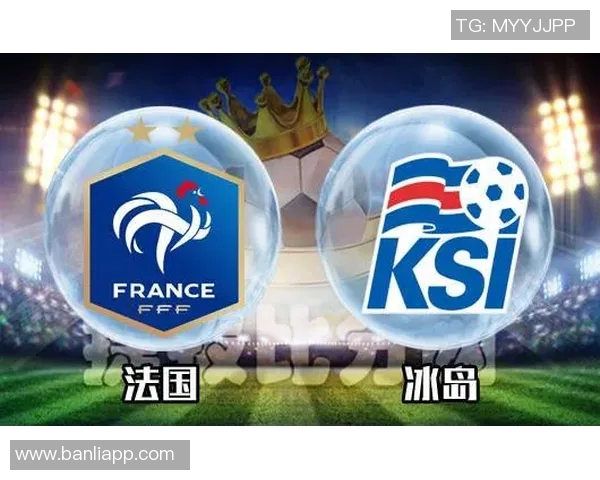 如何购买法国对冰岛比赛的门票及相关信息指南