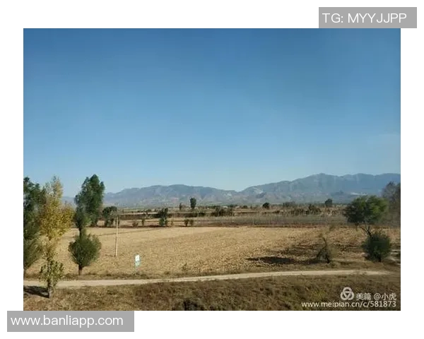 斯通斯的传奇之旅探寻摇滚乐的灵魂与时代的变迁