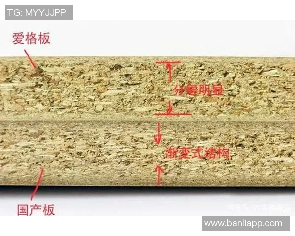 深入探讨vs板与spu板的区别与应用场景分析