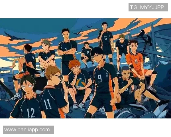 排球盛宴：深入南京排球队的团队协作与默契之道